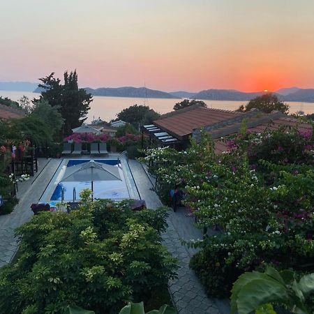 Suna House Söğüt Dış mekan fotoğraf