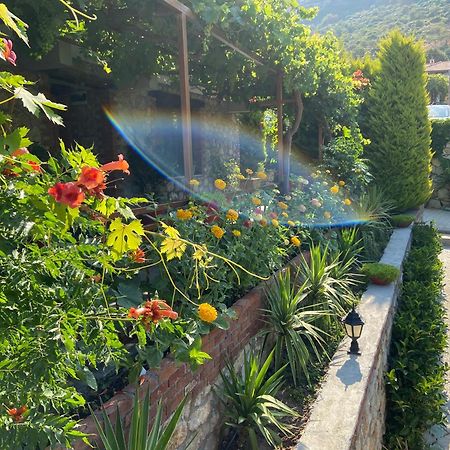 Suna House Söğüt Dış mekan fotoğraf