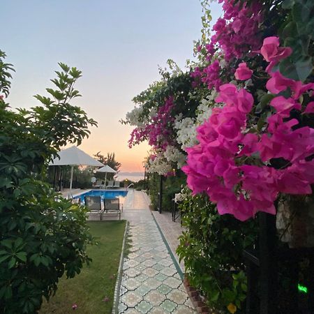 Suna House Söğüt Dış mekan fotoğraf