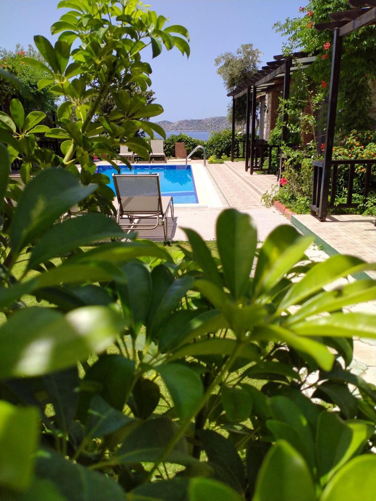 Suna House Söğüt Dış mekan fotoğraf
