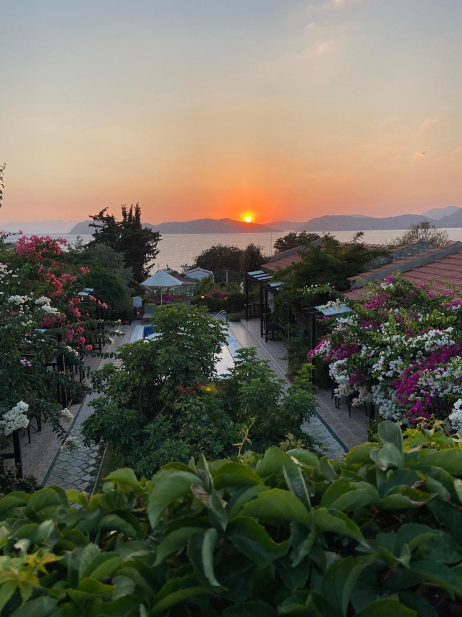 Suna House Söğüt Dış mekan fotoğraf