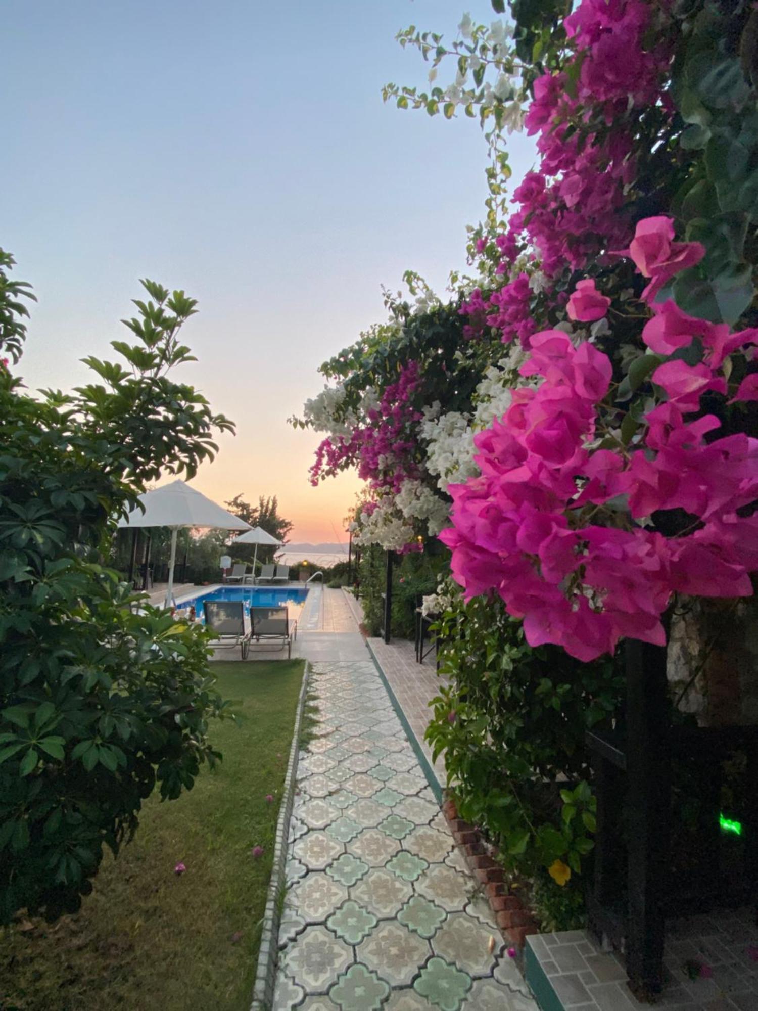 Suna House Söğüt Dış mekan fotoğraf